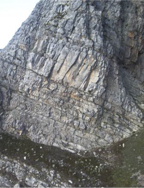 Image2
